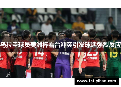 乌拉圭球员美洲杯看台冲突引发球迷强烈反应